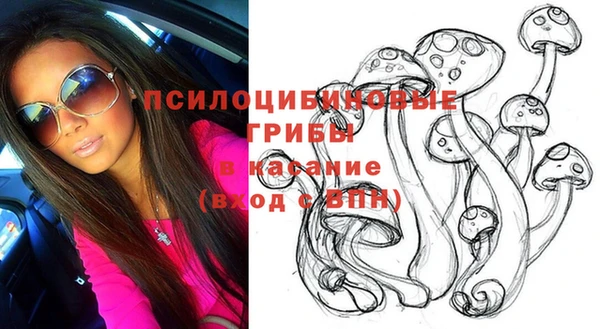 прущая мука Карпинск