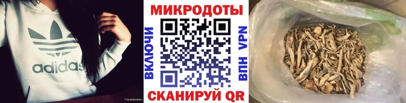 Галлюциногенные грибы мицелий  Щёлкино 